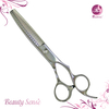 Stainless Steel Forged Thinning Hair Scissors (PLF-FT60BUB)