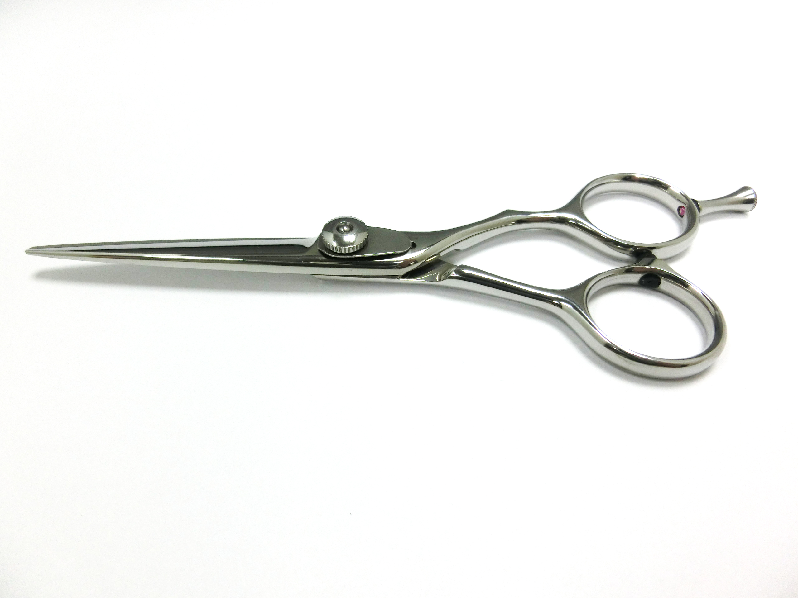 Hair Scissors (PLF-55PO)